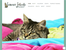 Tablet Screenshot of foreverfriendsfoundation.org